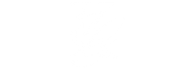 light logo
